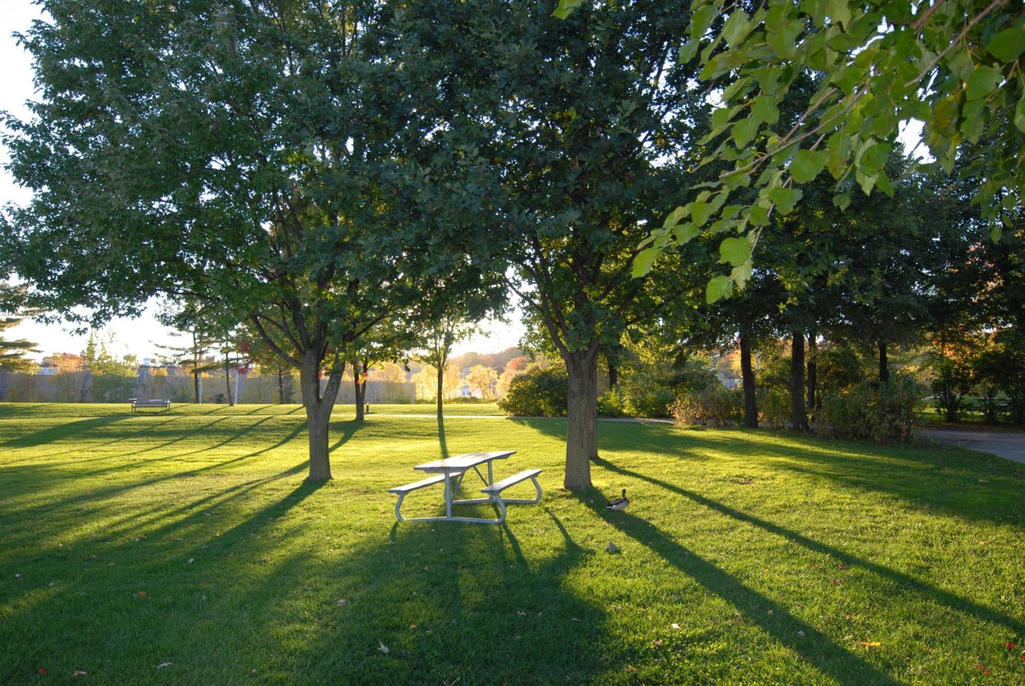 Kings Inn Orillia Exterior photo